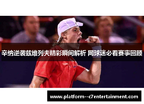 辛纳逆袭兹维列夫精彩瞬间解析 网球迷必看赛事回顾